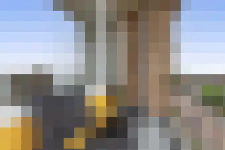Willem de Rijkelaan 152 Waddinxveen thumbnail 15
