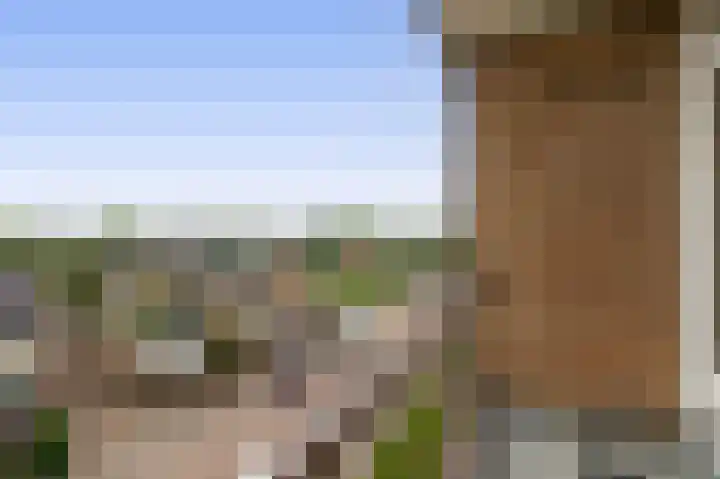 Willem de Rijkelaan 152 Waddinxveen thumbnail 16