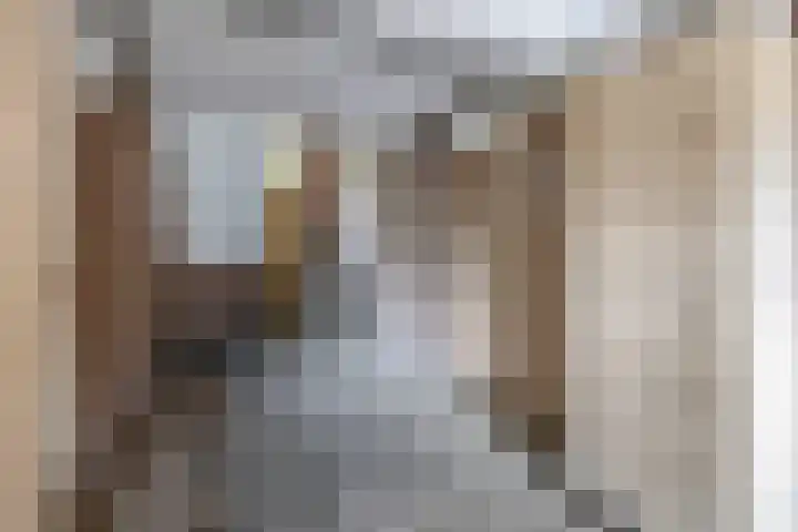 Willem de Rijkelaan 152 Waddinxveen thumbnail 22