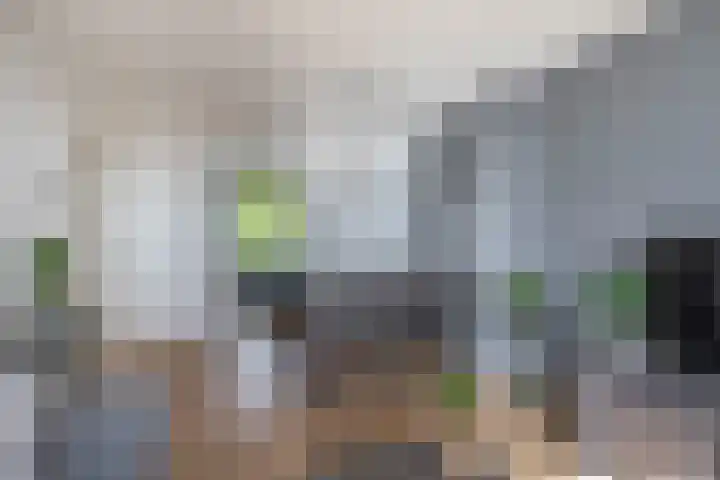 Willem de Rijkelaan 152 Waddinxveen thumbnail 6