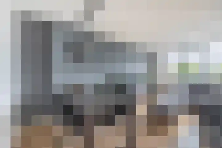 Willem de Rijkelaan 152 Waddinxveen thumbnail 7