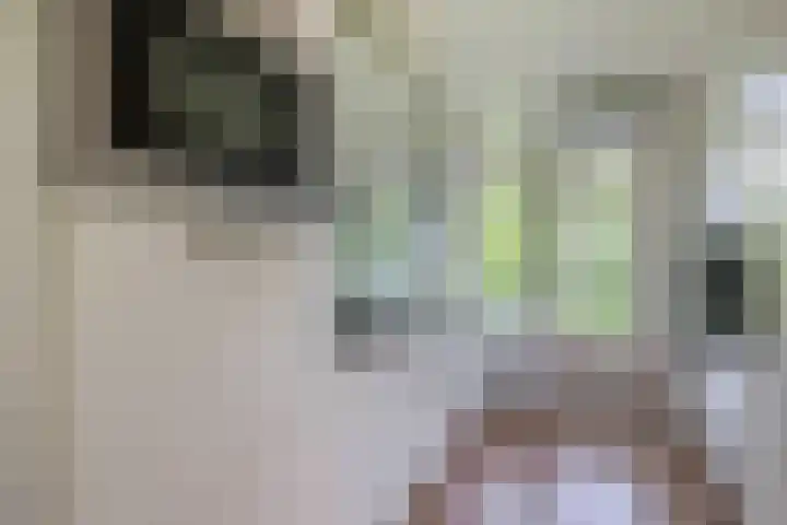 Willem de Rijkelaan 152 Waddinxveen thumbnail 8