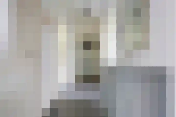 Willem de Rijkelaan 162 Waddinxveen thumbnail 11