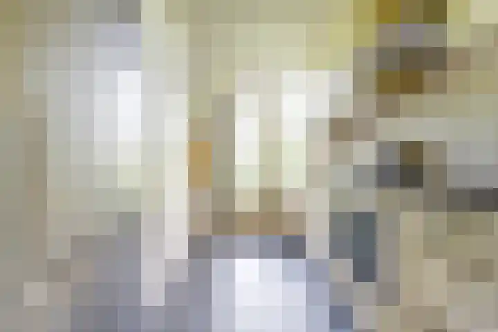 Willem de Rijkelaan 162 Waddinxveen thumbnail 12
