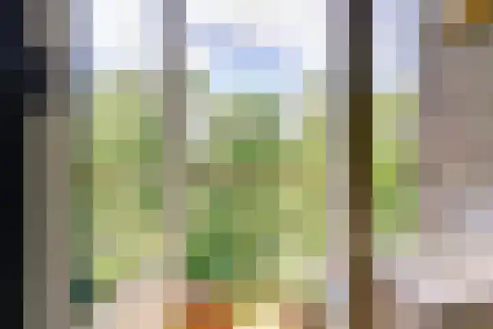 Willem de Rijkelaan 162 Waddinxveen thumbnail 13