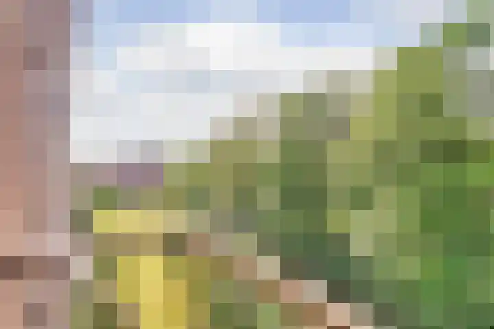 Willem de Rijkelaan 162 Waddinxveen thumbnail 14