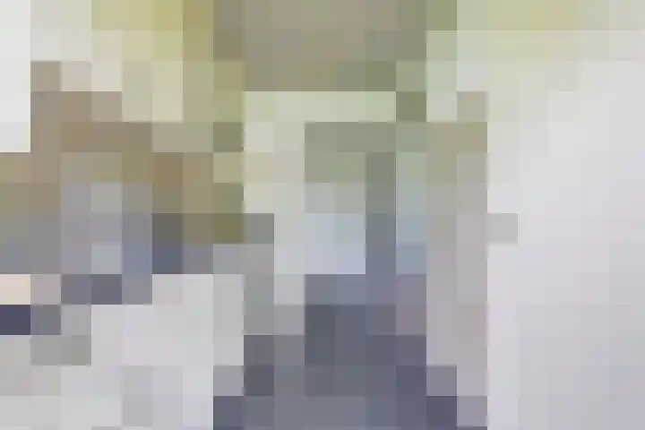 Willem de Rijkelaan 162 Waddinxveen thumbnail 15