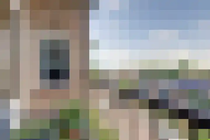 Willem de Rijkelaan 162 Waddinxveen thumbnail 19
