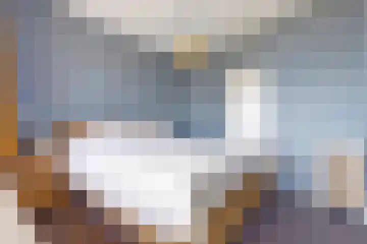 Willem de Rijkelaan 162 Waddinxveen thumbnail 20