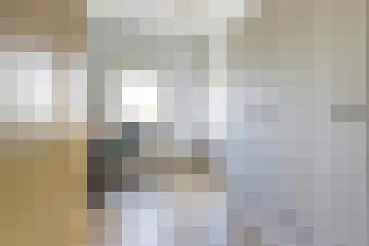 Willem de Rijkelaan 162 Waddinxveen thumbnail 21