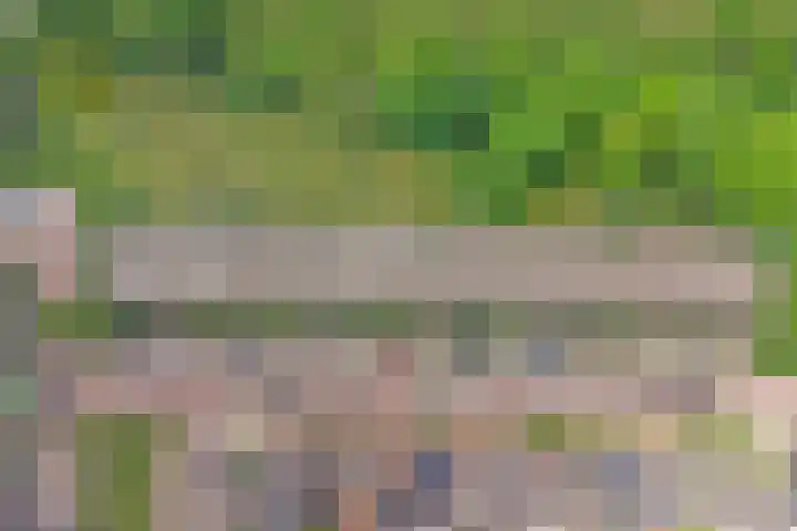 Willem de Rijkelaan 162 Waddinxveen thumbnail 29