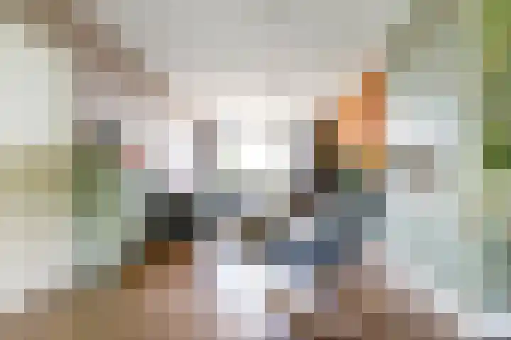 Willem de Rijkelaan 162 Waddinxveen thumbnail 6