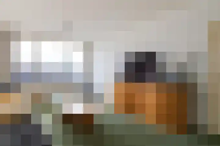 Willem de Rijkelaan 166 Waddinxveen thumbnail 10