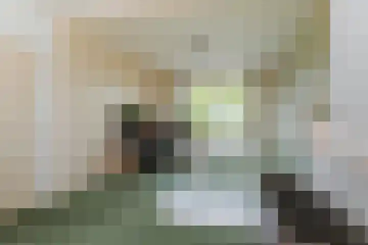 Willem de Rijkelaan 166 Waddinxveen thumbnail 13