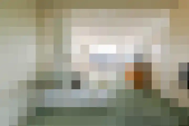 Willem de Rijkelaan 166 Waddinxveen thumbnail 16