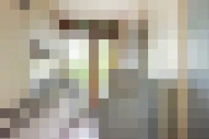 Willem de Rijkelaan 166 Waddinxveen thumbnail 17