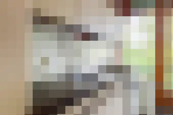 Willem de Rijkelaan 166 Waddinxveen thumbnail 18