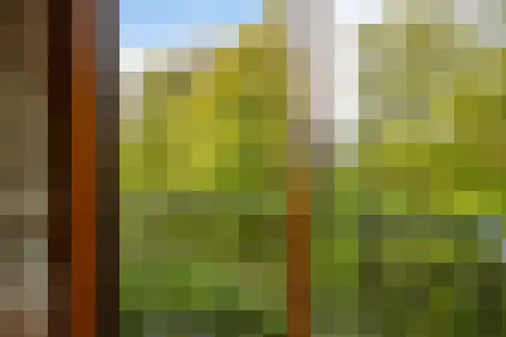 Willem de Rijkelaan 166 Waddinxveen thumbnail 20