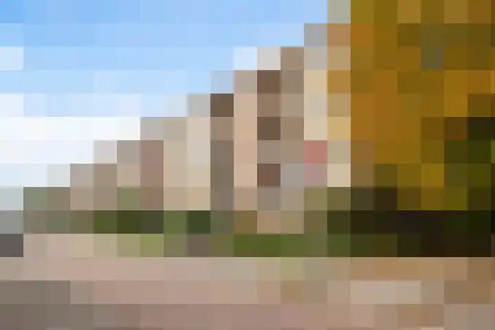Willem de Rijkelaan 166 Waddinxveen thumbnail 27