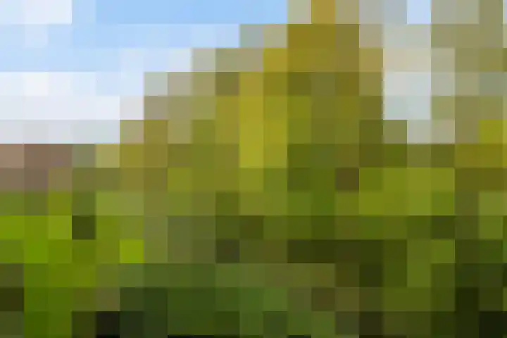 Willem de Rijkelaan 166 Waddinxveen thumbnail 30