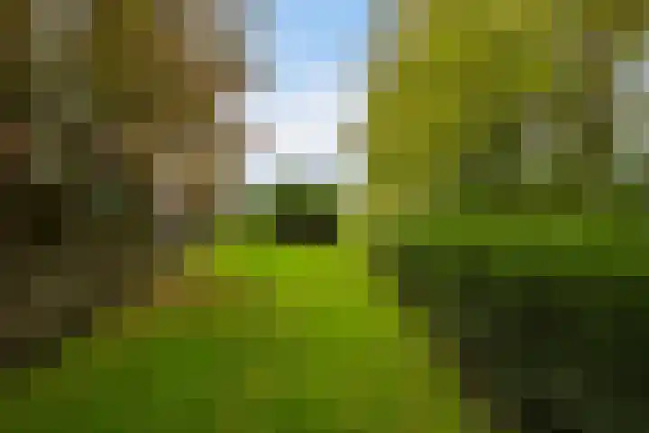 Willem de Rijkelaan 166 Waddinxveen thumbnail 31