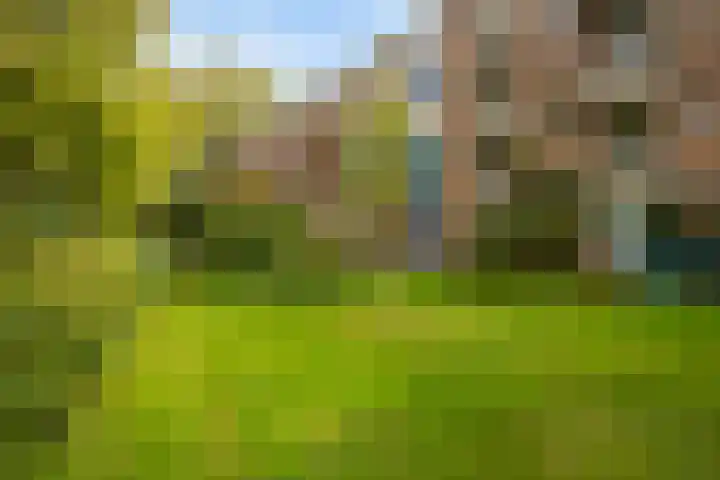 Willem de Rijkelaan 166 Waddinxveen thumbnail 32