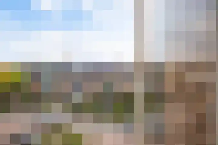 Willem de Rijkelaan 166 Waddinxveen thumbnail 4