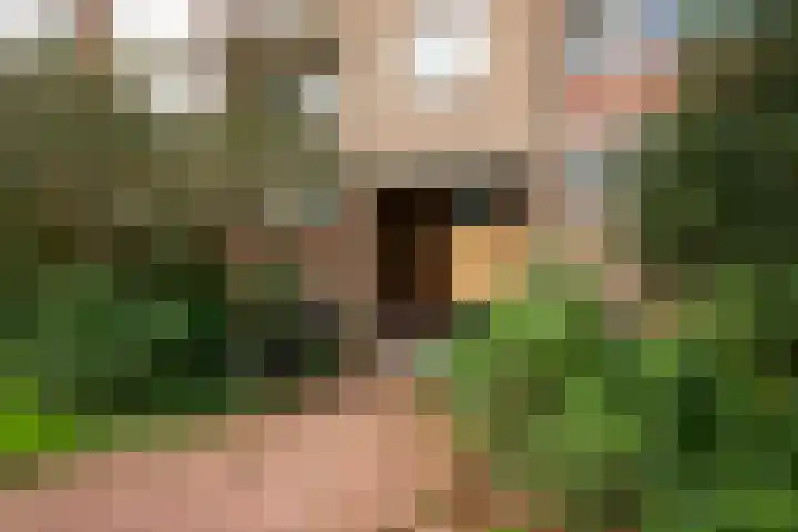 Willem de Rijkelaan 166 Waddinxveen thumbnail 6