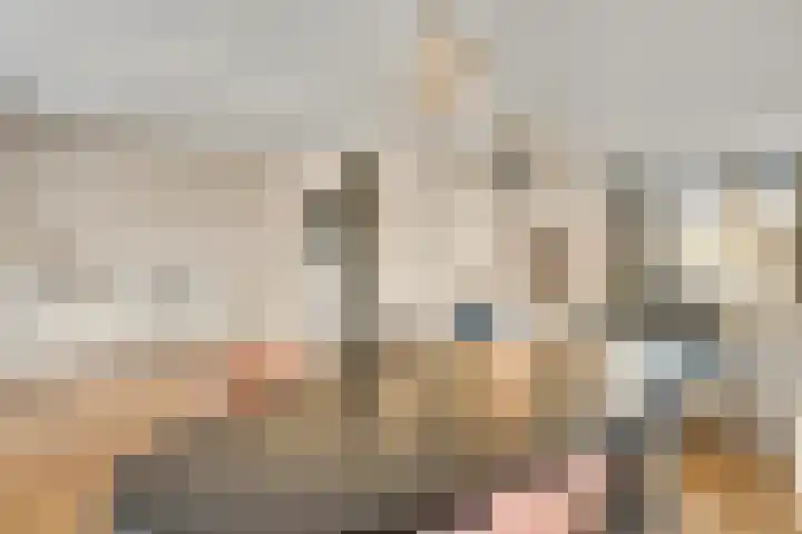 Willem de Rijkelaan 20 Eindhoven thumbnail 12