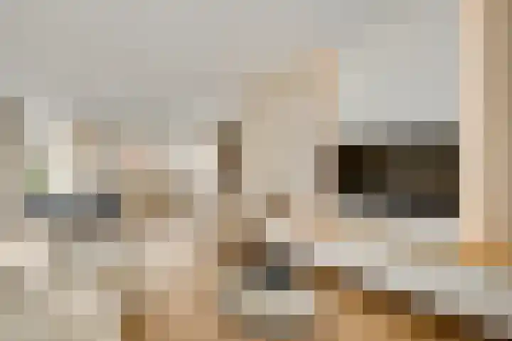 Willem de Rijkelaan 20 Eindhoven thumbnail 14