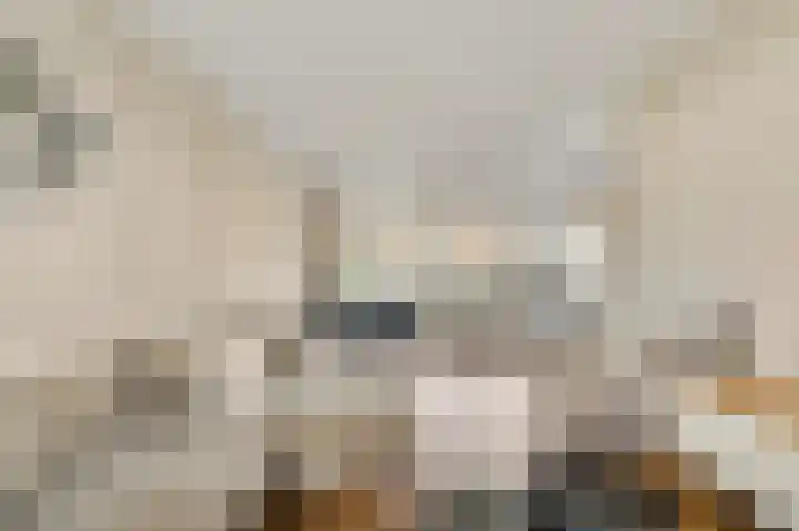 Willem de Rijkelaan 20 Eindhoven thumbnail 15