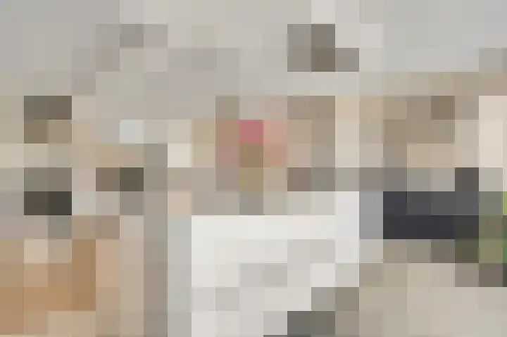 Willem de Rijkelaan 20 Eindhoven thumbnail 17
