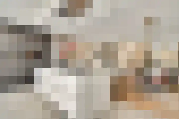 Willem de Rijkelaan 20 Eindhoven thumbnail 18