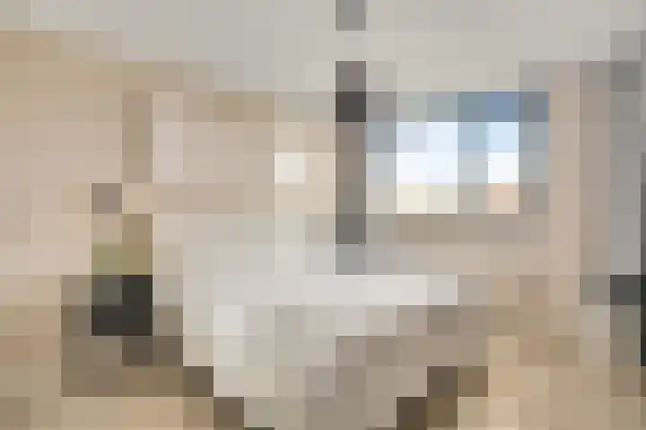 Willem de Rijkelaan 20 Eindhoven thumbnail 23