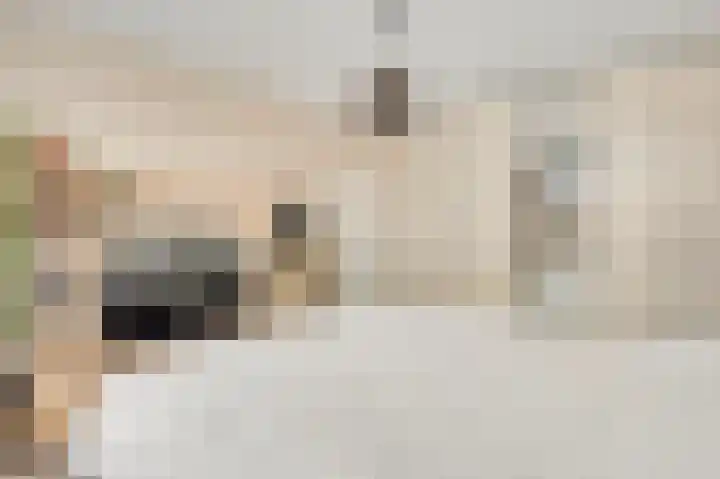 Willem de Rijkelaan 20 Eindhoven thumbnail 24