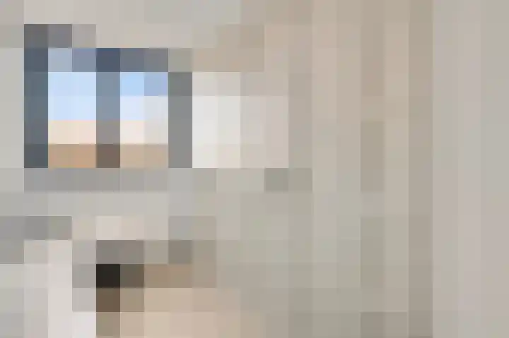 Willem de Rijkelaan 20 Eindhoven thumbnail 25