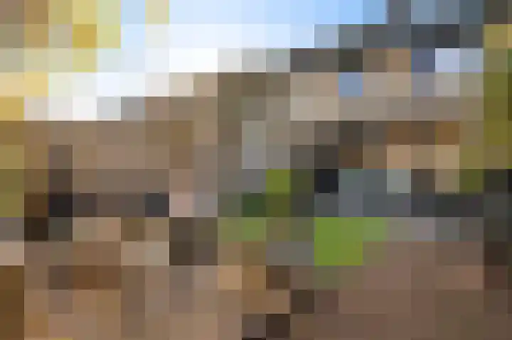 Willem de Rijkelaan 20 Eindhoven thumbnail 35