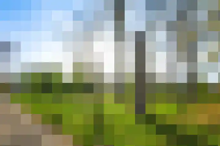 Willem de Rijkelaan 20 Eindhoven thumbnail 5