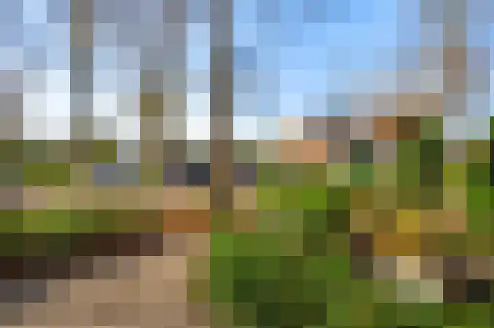 Willem de Rijkelaan 20 Eindhoven thumbnail 8