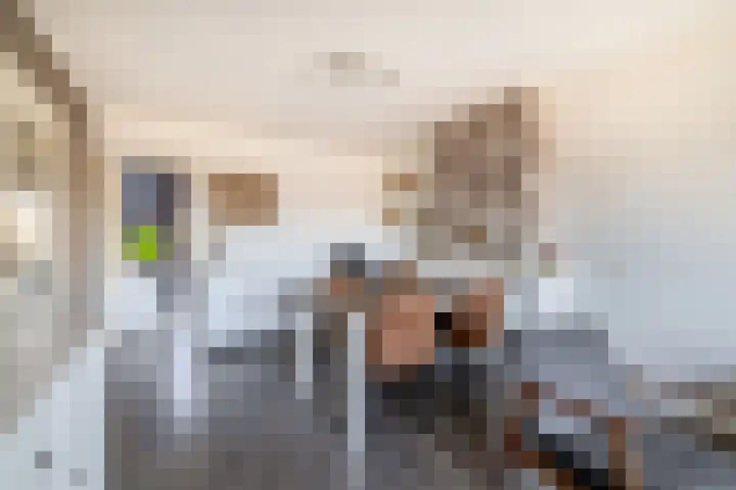 Willem de Rijkelaan 20 Waddinxveen thumbnail 10