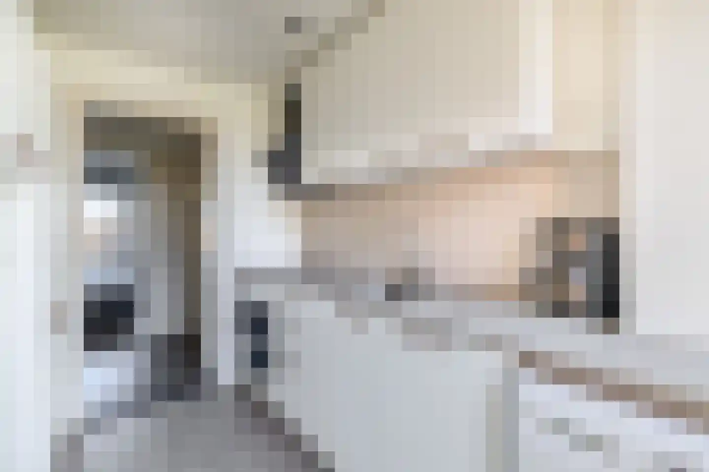 Willem de Rijkelaan 20 Waddinxveen thumbnail 12