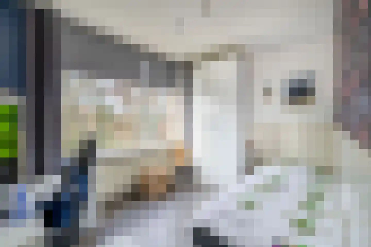 Willem de Rijkelaan 20 Waddinxveen thumbnail 15