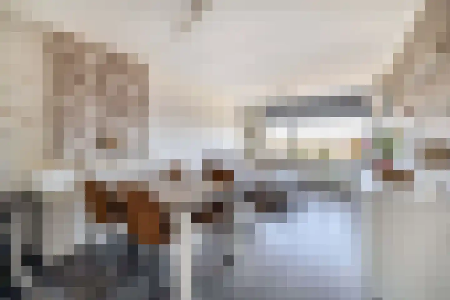 Willem de Rijkelaan 20 Waddinxveen foto 2