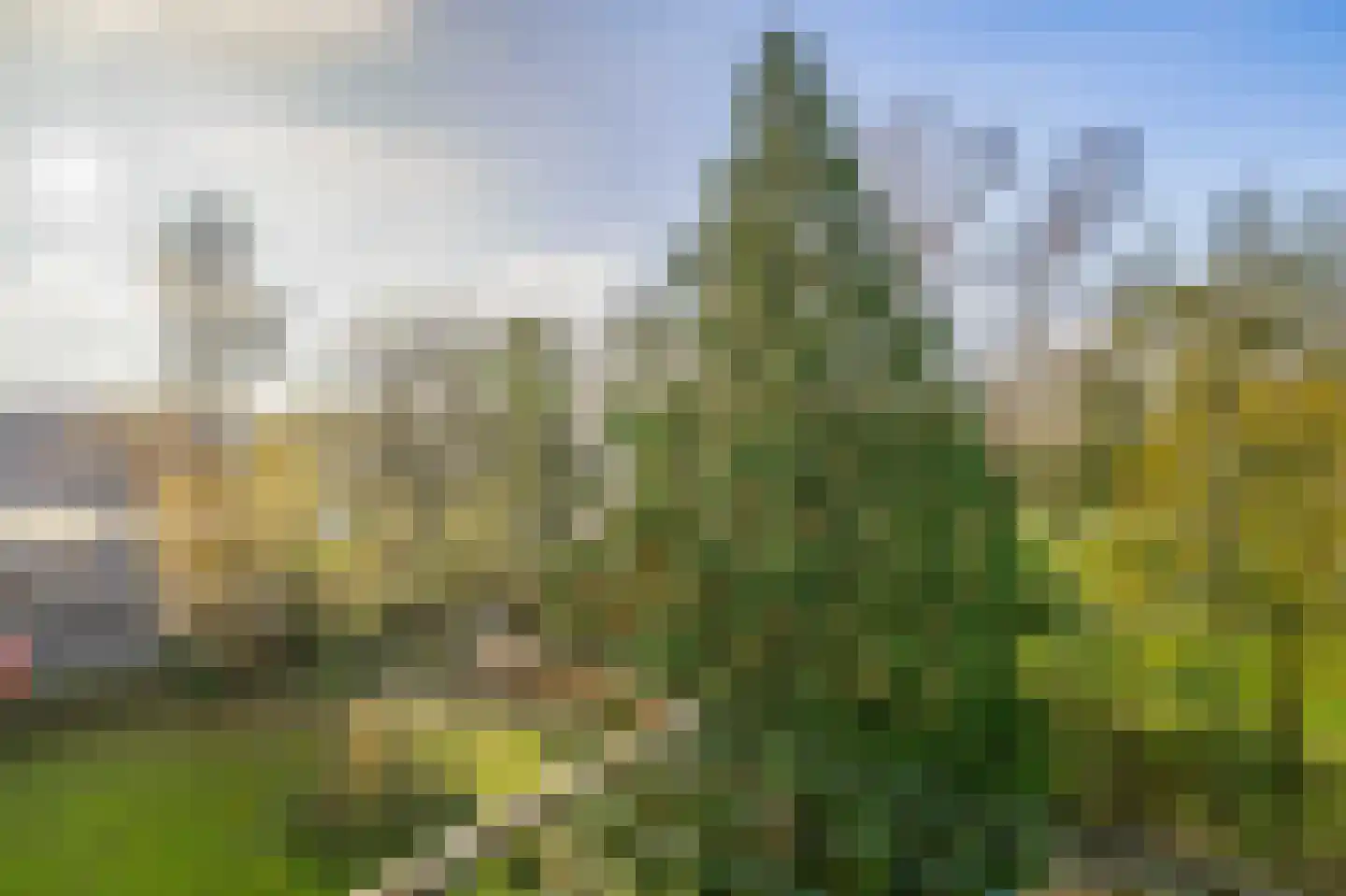 Willem de Rijkelaan 20 Waddinxveen thumbnail 22