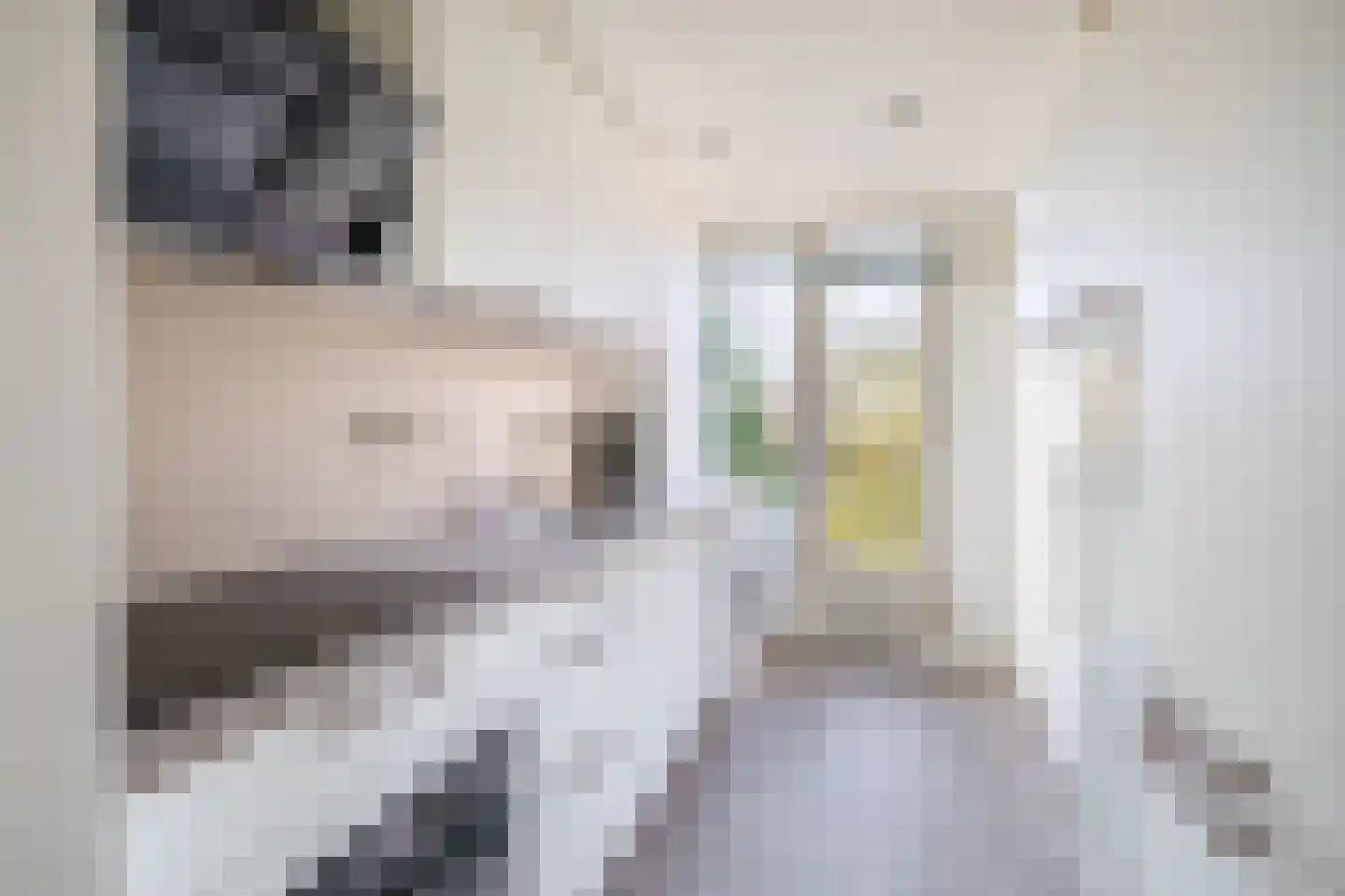 Willem de Rijkelaan 20 Waddinxveen thumbnail 4