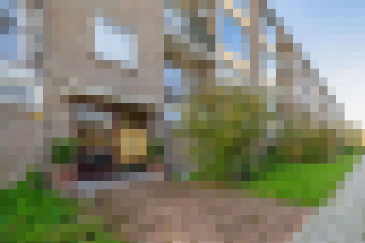 Willem de Rijkelaan 20 Waddinxveen thumbnail 6