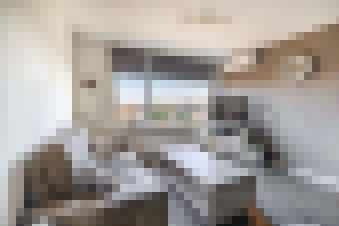 Willem de Rijkelaan 20 Waddinxveen thumbnail 9