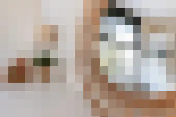 Willem de Rijkelaan 22 Waddinxveen thumbnail 20