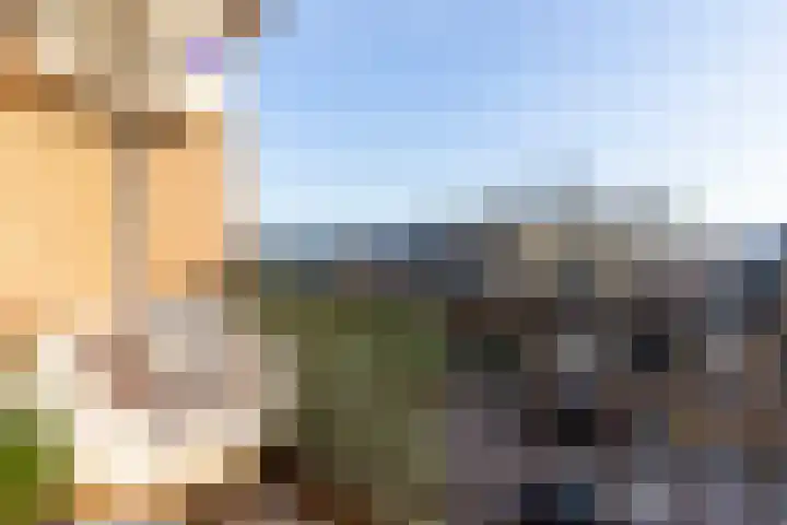 Willem de Rijkelaan 22 Waddinxveen thumbnail 29