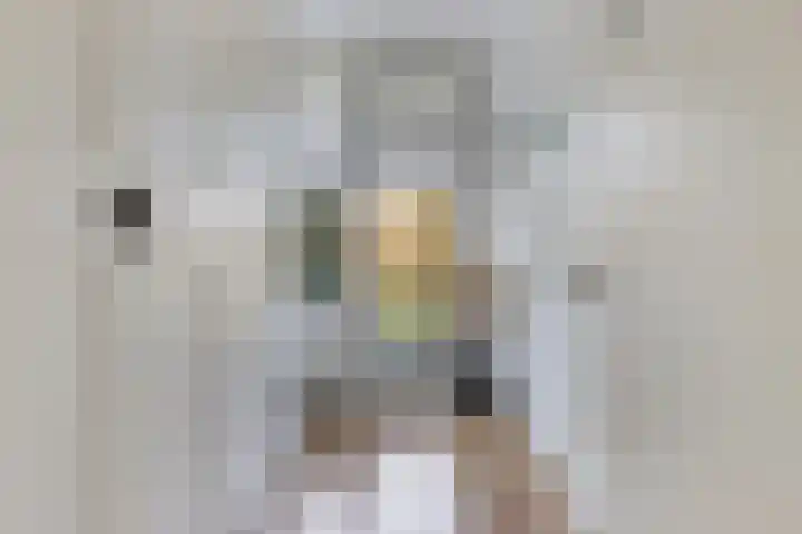 Willem de Rijkelaan 22 Waddinxveen thumbnail 32